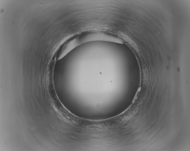 X0000072970580200608041220