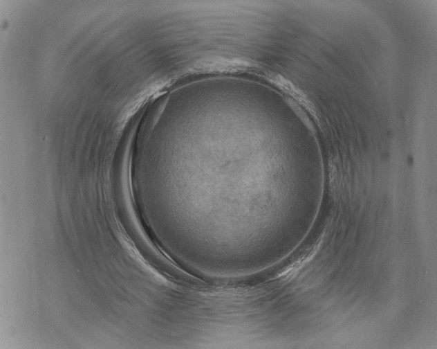 X0000072970581200608041220