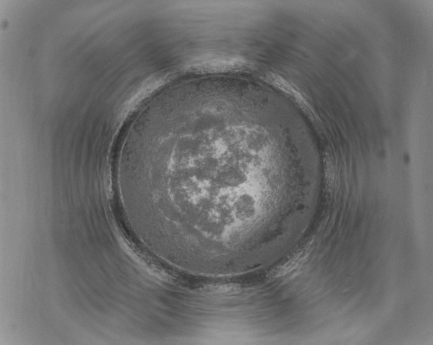 X0000072970582200608041220