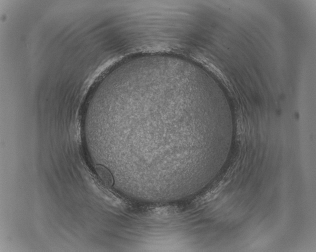 X0000072970584200608041220