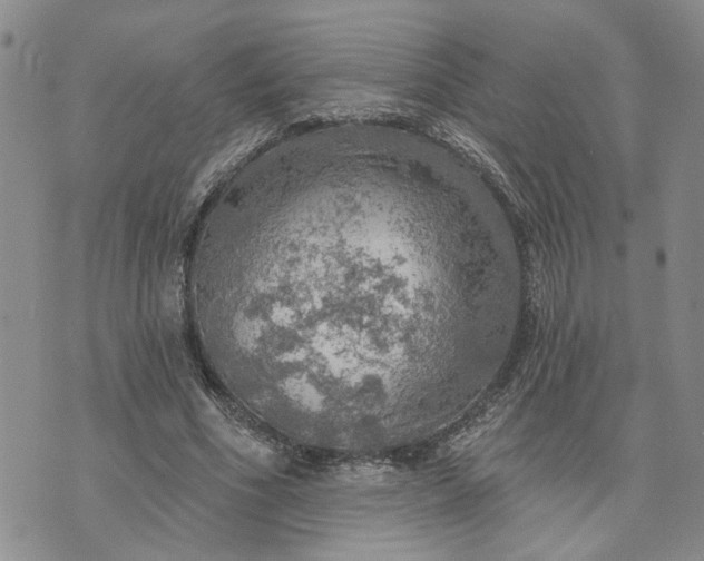 X0000072970586200608041220