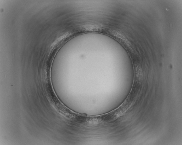 X0000072970587200608041220