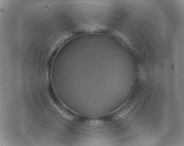 X0000072970590200608041220