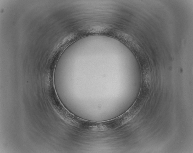 X0000072970591200608041220