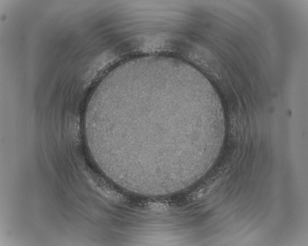 X0000072970592200608041220