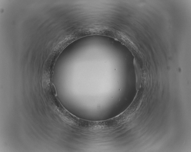 X0000072970593200608041220