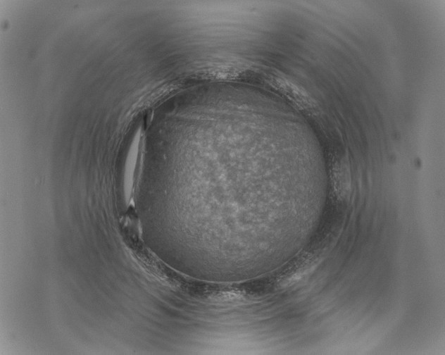 X0000072970594200608041220