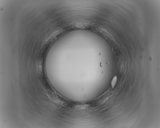 X0000072970595200608041220