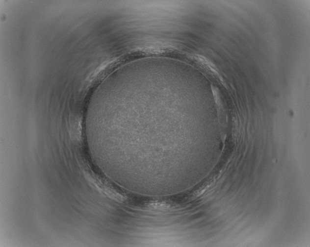 X0000072970596200608041220