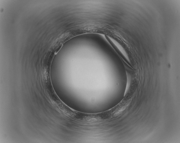 X0000072970597200608041220