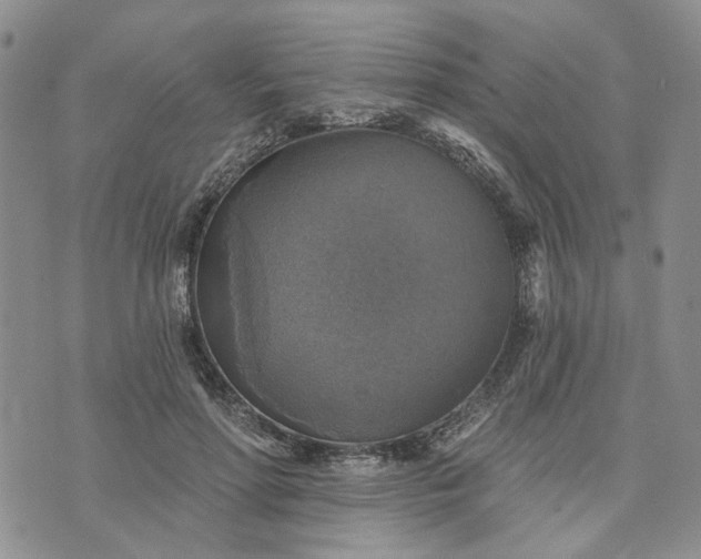 X0000072970598200608041220