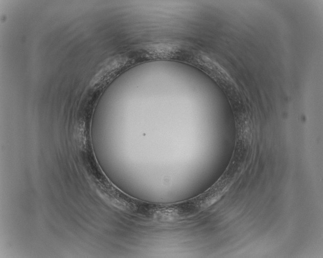 X0000072970599200608041220