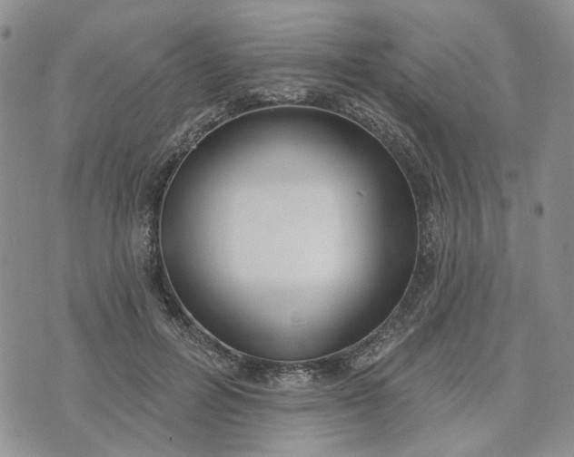 X0000072970600200608041220