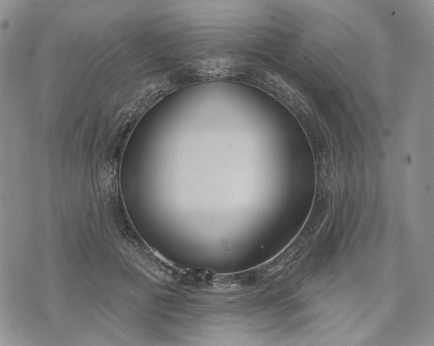 X0000072970601200608041220