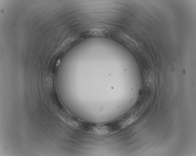 X0000072970603200608041220