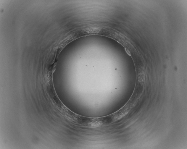 X0000072970604200608041220