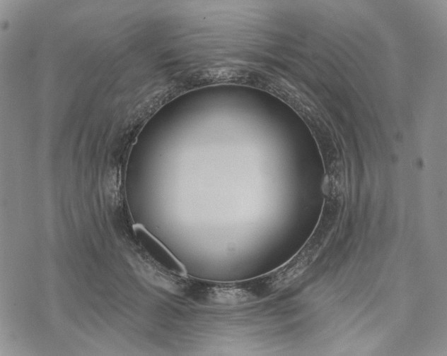 X0000072970605200608041220