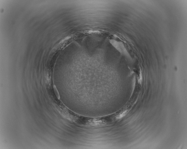 X0000072970607200608041220