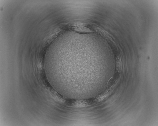 X0000072970608200608041220