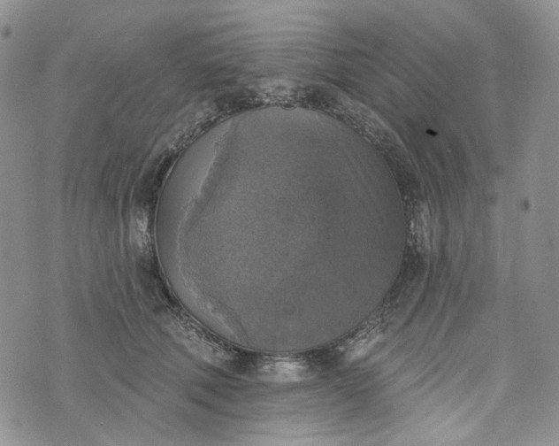 X0000072970610200608041220