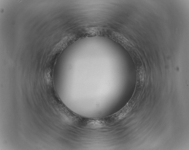 X0000072970611200608041220