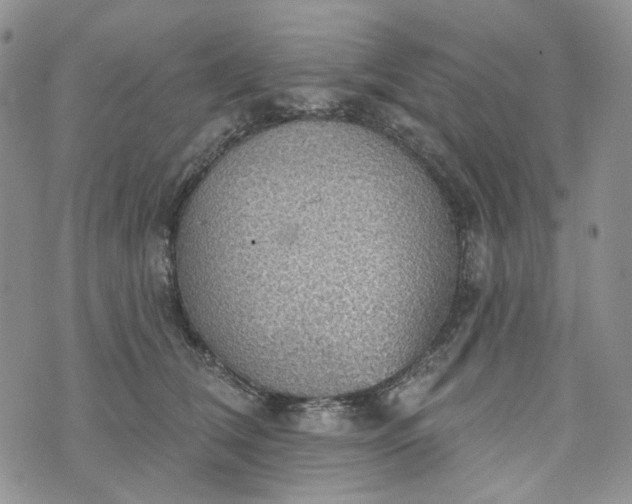 X0000072970612200608041220