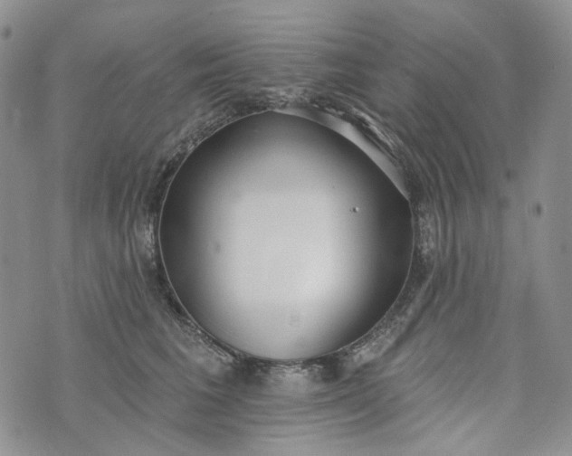 X0000072970613200608041220