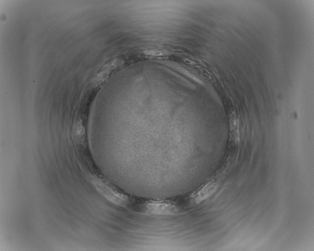 X0000072970614200608041220