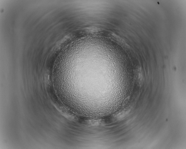 X0000072970615200608041220