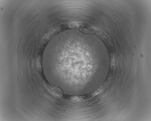 X0000072970616200608041220