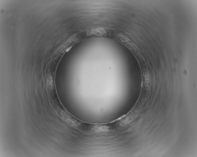 X0000072970617200608041220