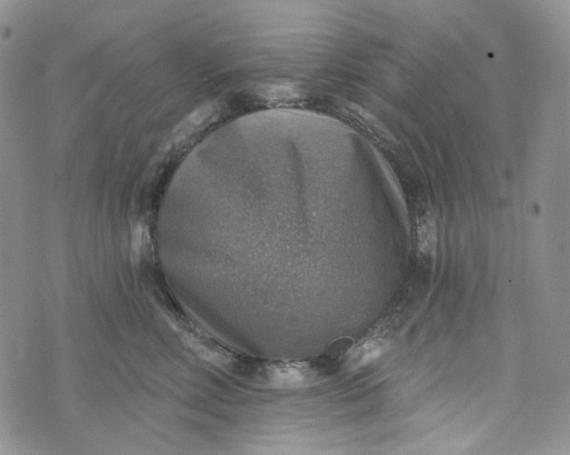 X0000072970618200608041219