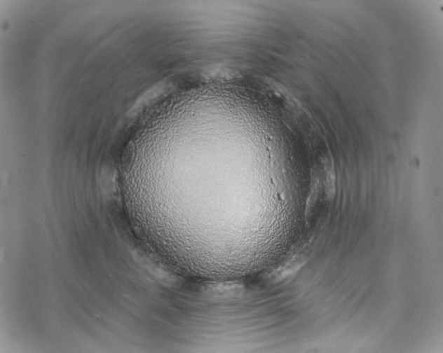 X0000072970619200608041219