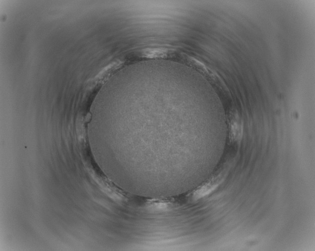 X0000072970620200608041219