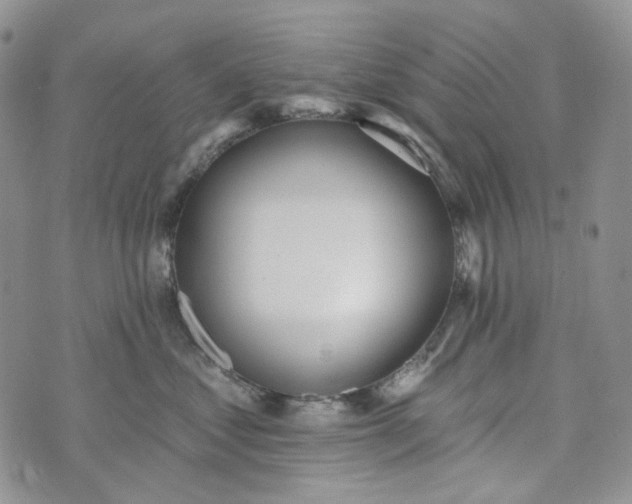 X0000072970621200608041219