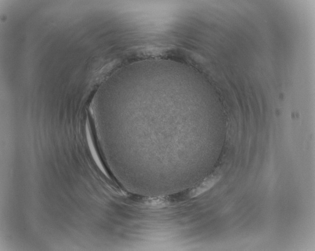 X0000072970624200608041219