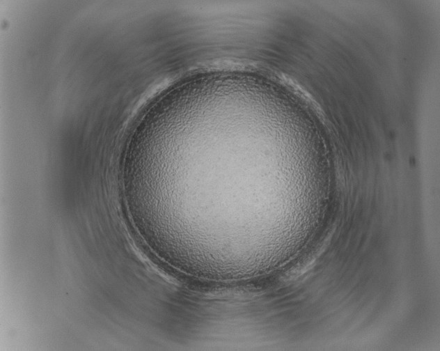 X0000072970625200608041219