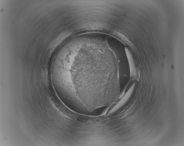 X0000072970627200608041219