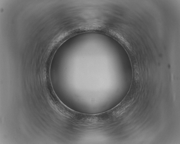 X0000072970631200608041219