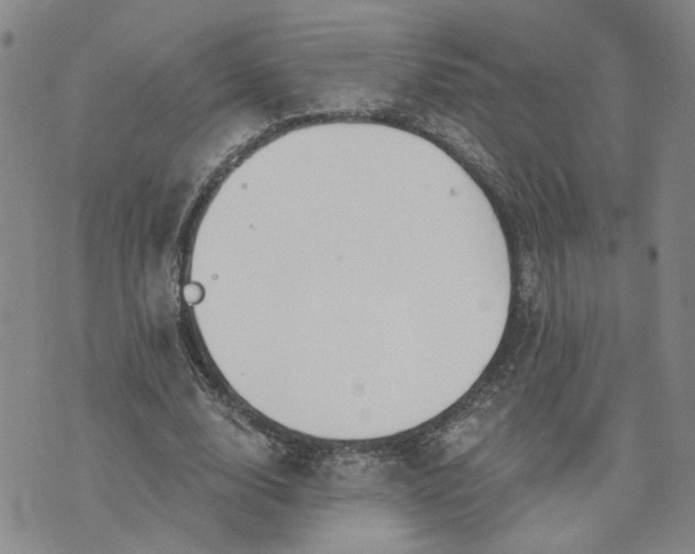 X0000072970632200608041219