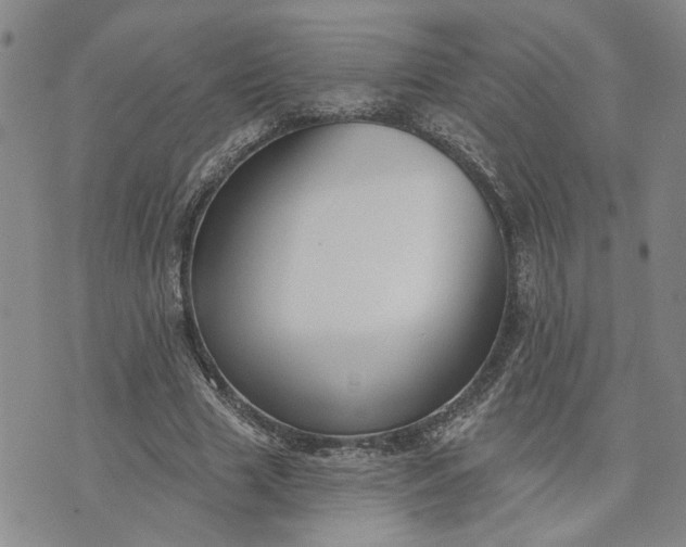 X0000072970633200608041219