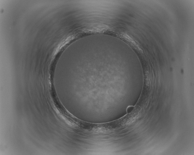 X0000072970634200608041219