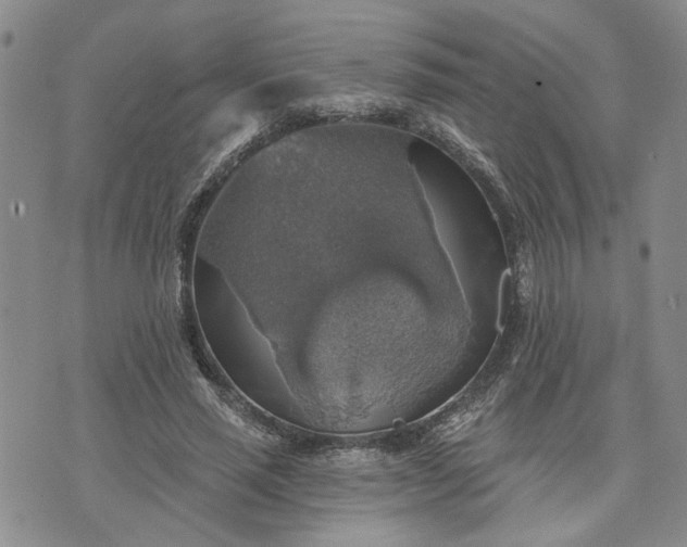 X0000072970637200608041219