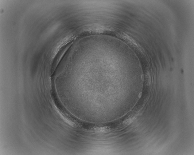 X0000072970638200608041219