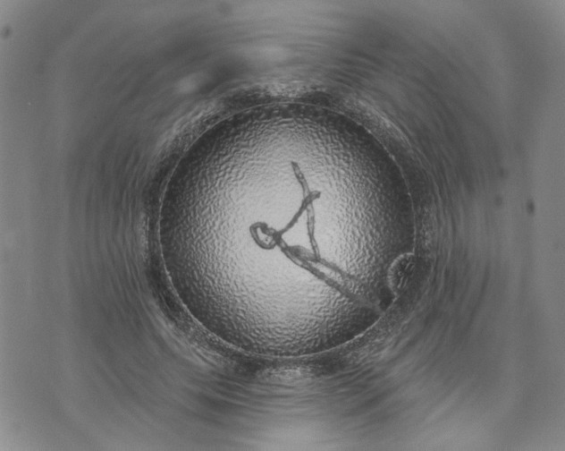 X0000072970639200608041219