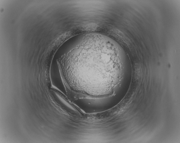 X0000072970641200608041219