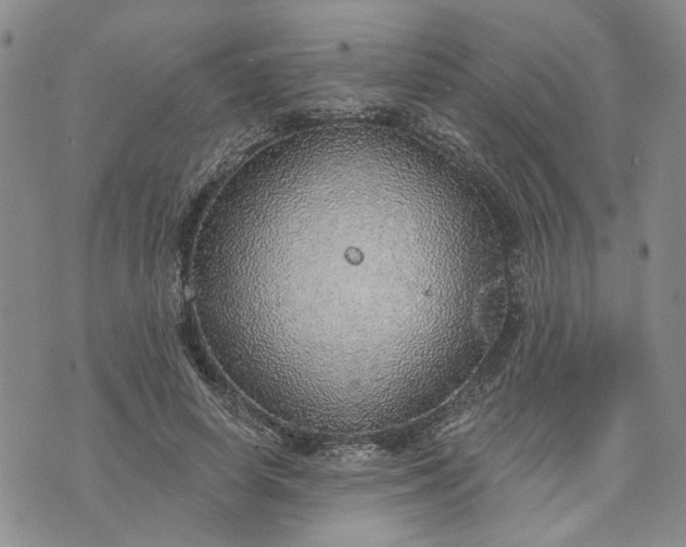 X0000072970642200608041219