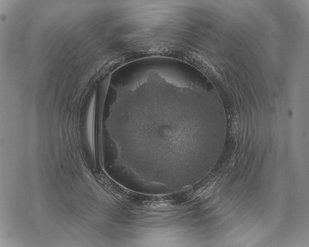 X0000072970643200608041219