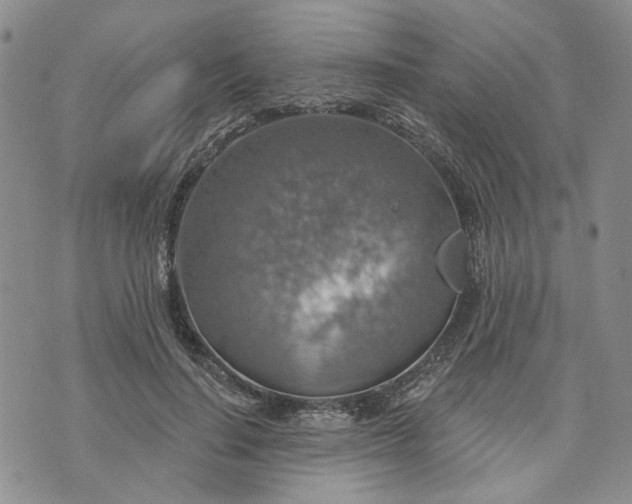 X0000072970644200608041219