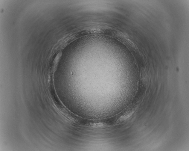 X0000072970645200608041219